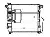 Radiateur Radiator:52029252