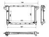 Radiator:4401044