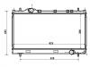 Radiator:5019213